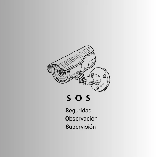 Seguridad Observación Supervisión