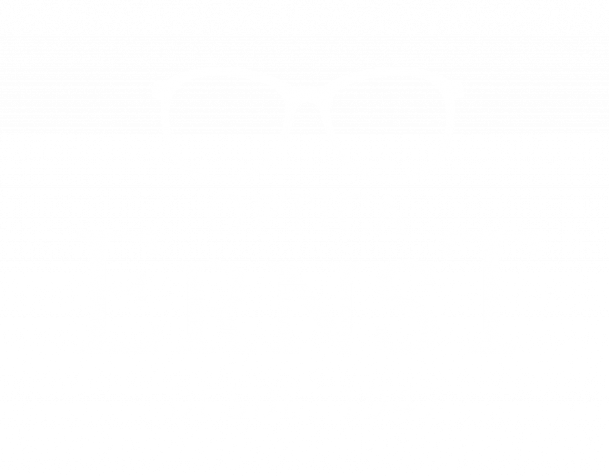 Optica Ernst