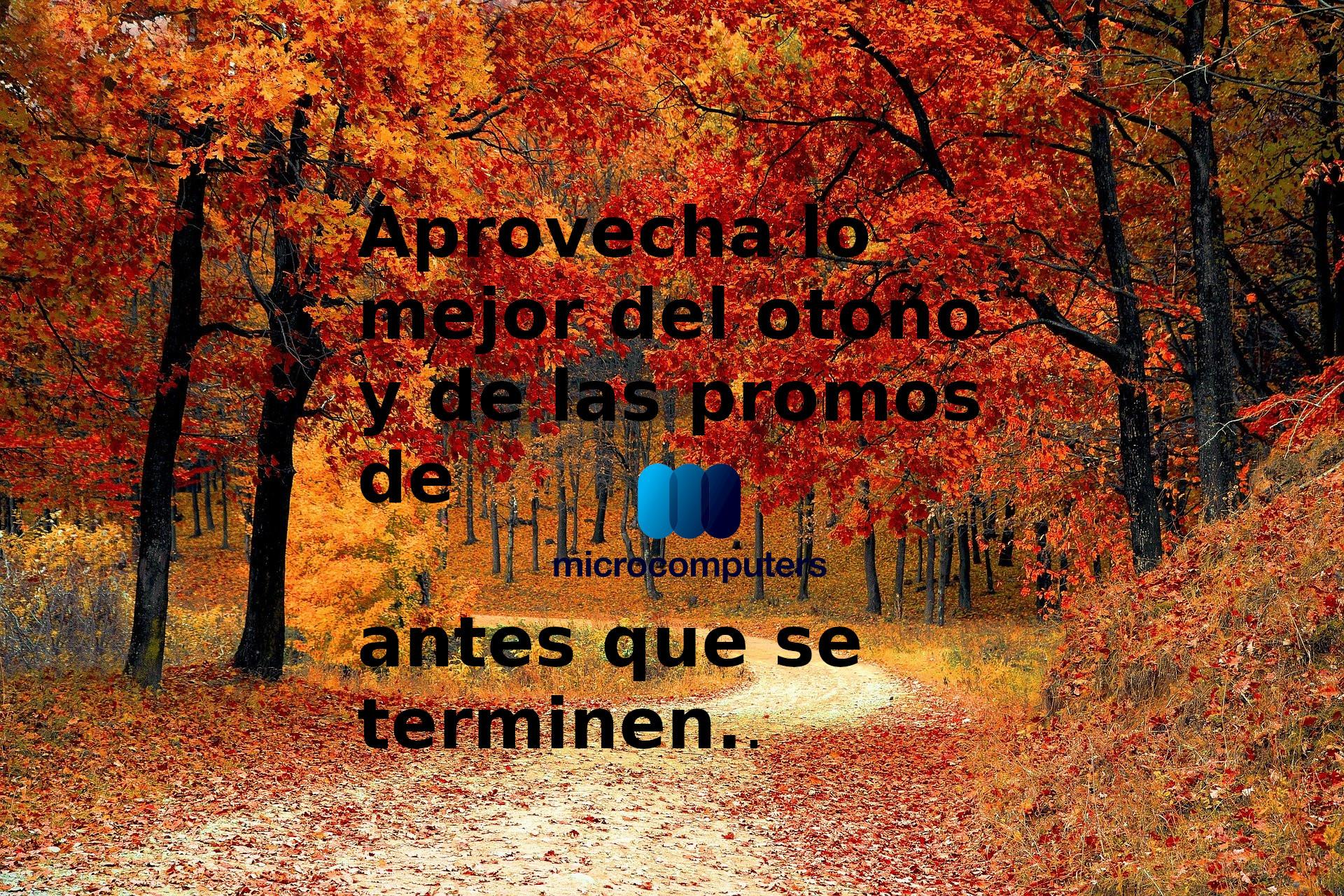 Aprovecha lo mejor del otoño y de las promos de microcomputers antes que se terminen.