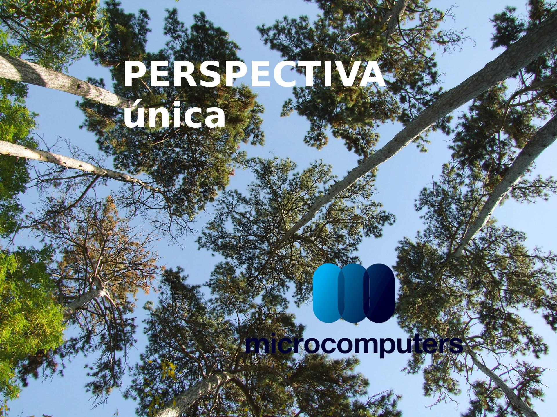 Perspectiva única. Soluciones ejemplares.