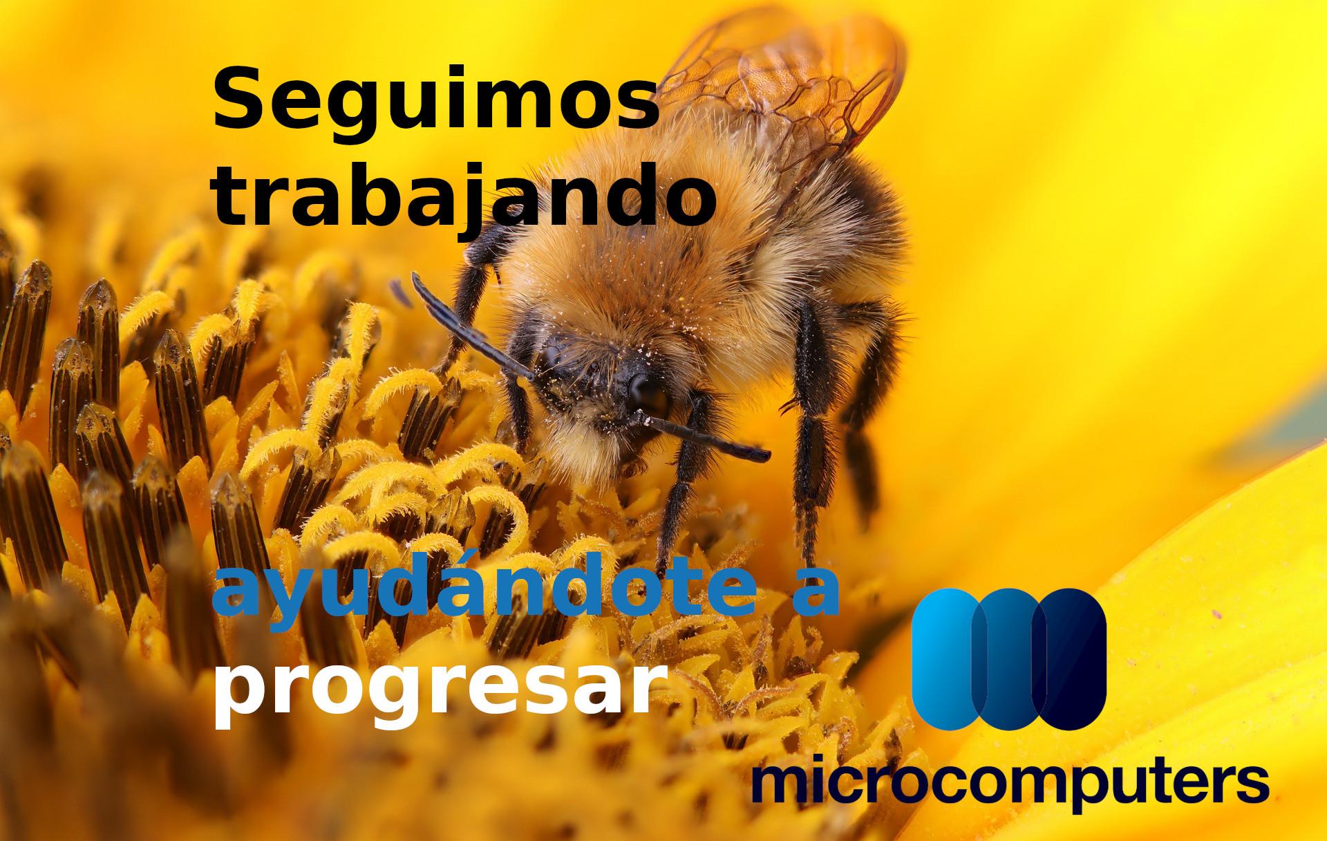 Seguimos trabajando, ayudándote a progresar.
