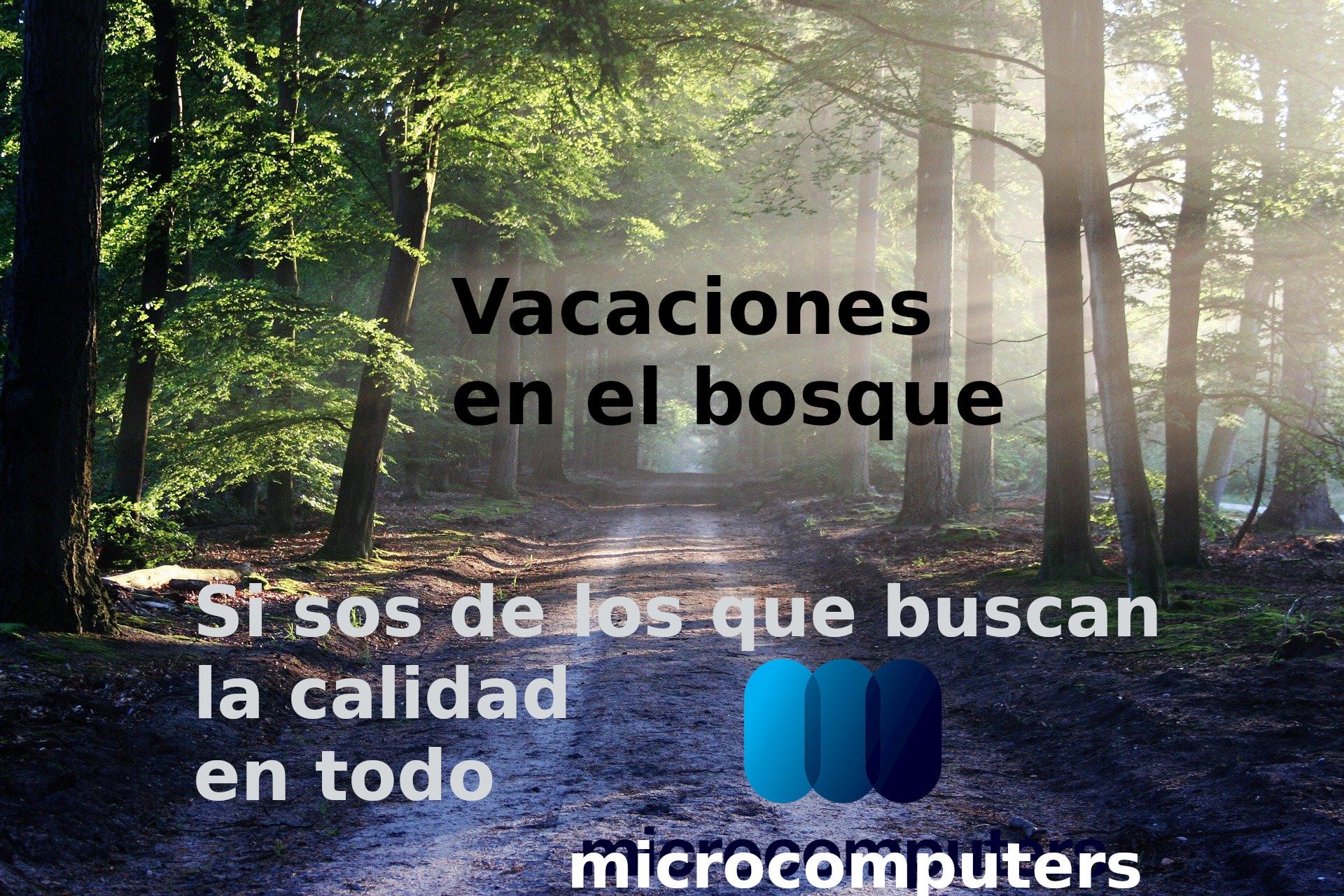 Vacaciones en el bosque.