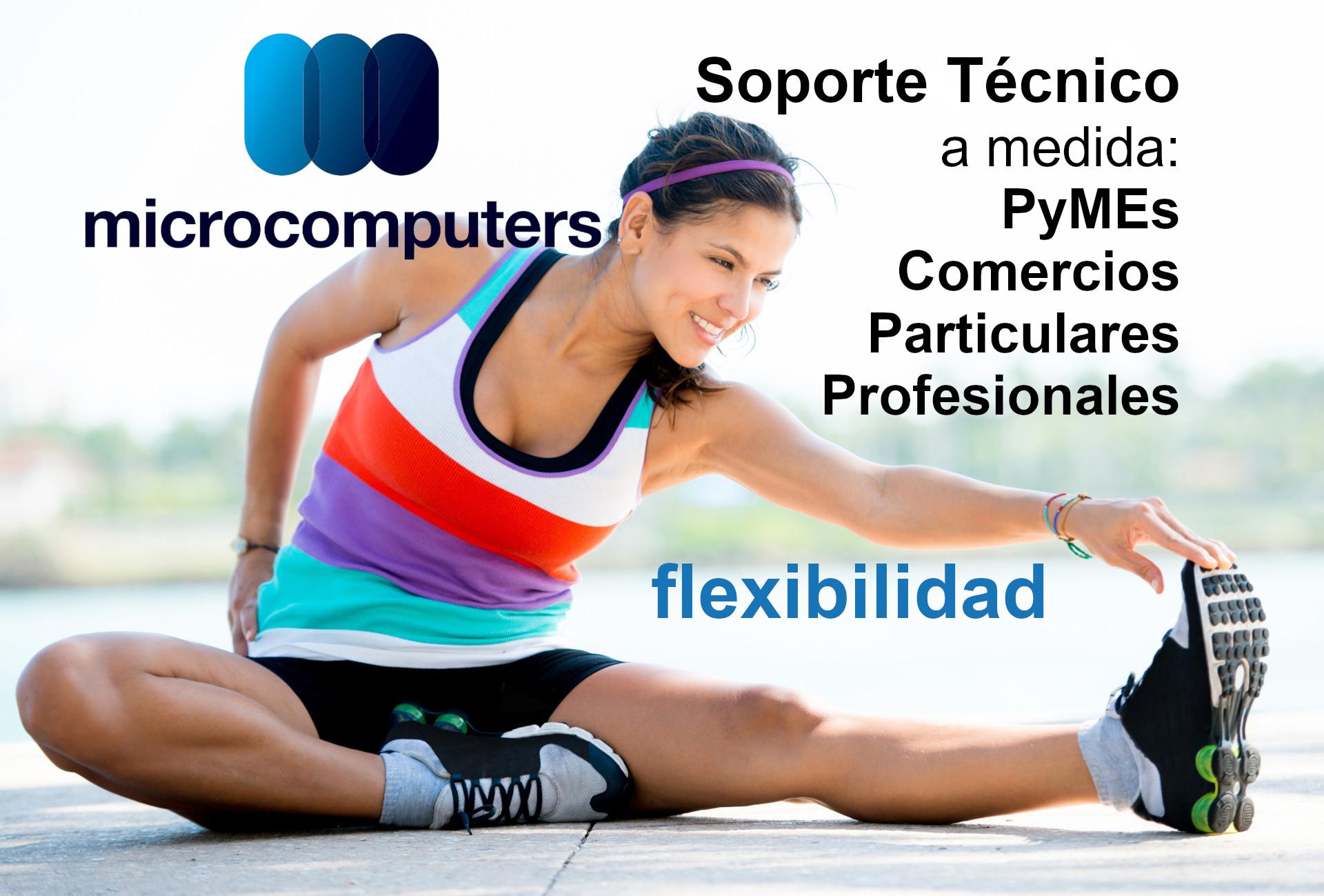Flexibilidad en las soluciones de Microcomputers. 