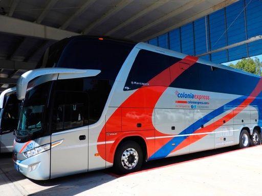 bus