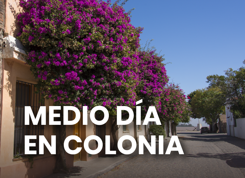 medio dia