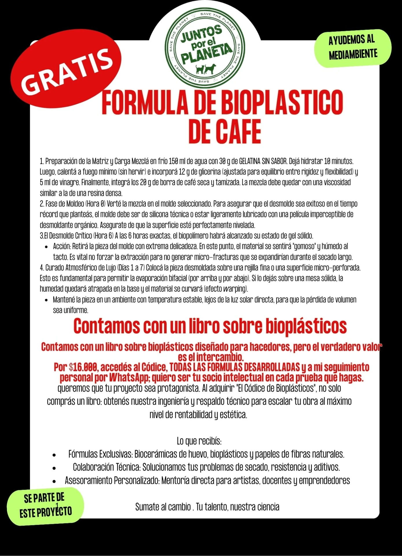REACTOR DE PIROLISIS