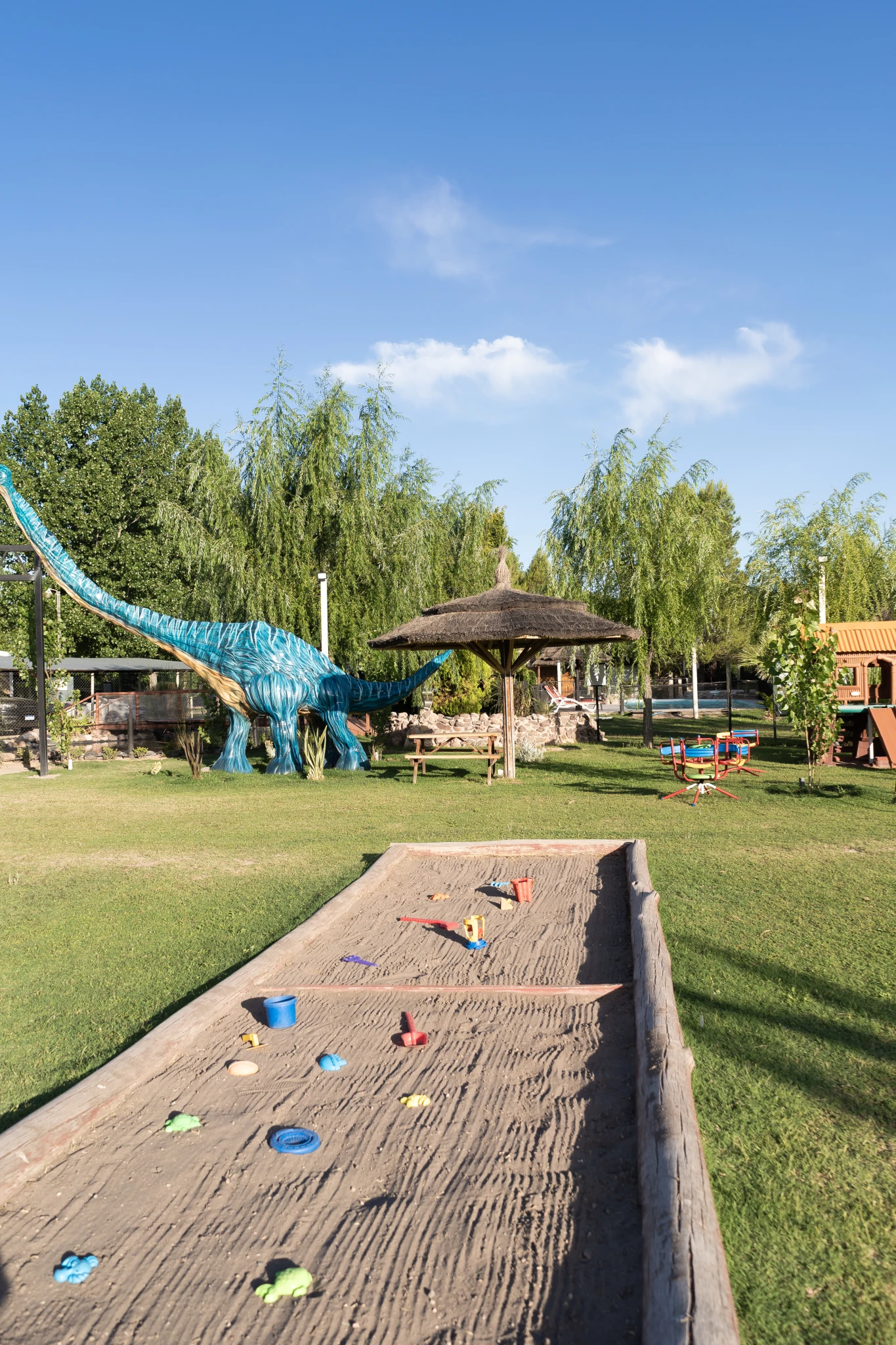 5-(2919).webp