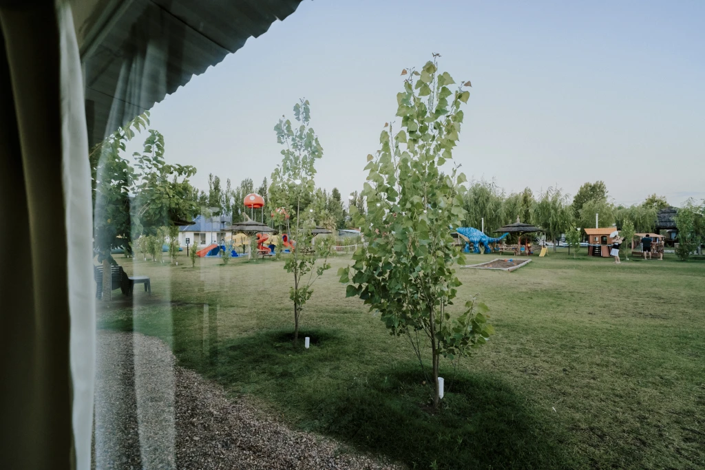 DSC00086-(4171).webp