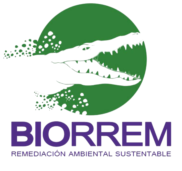 Biorrem