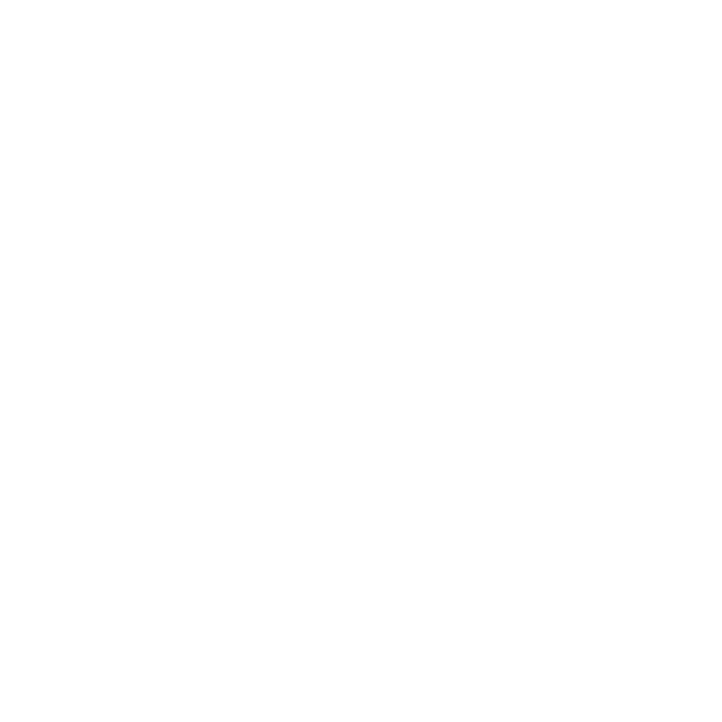 LP SRL
