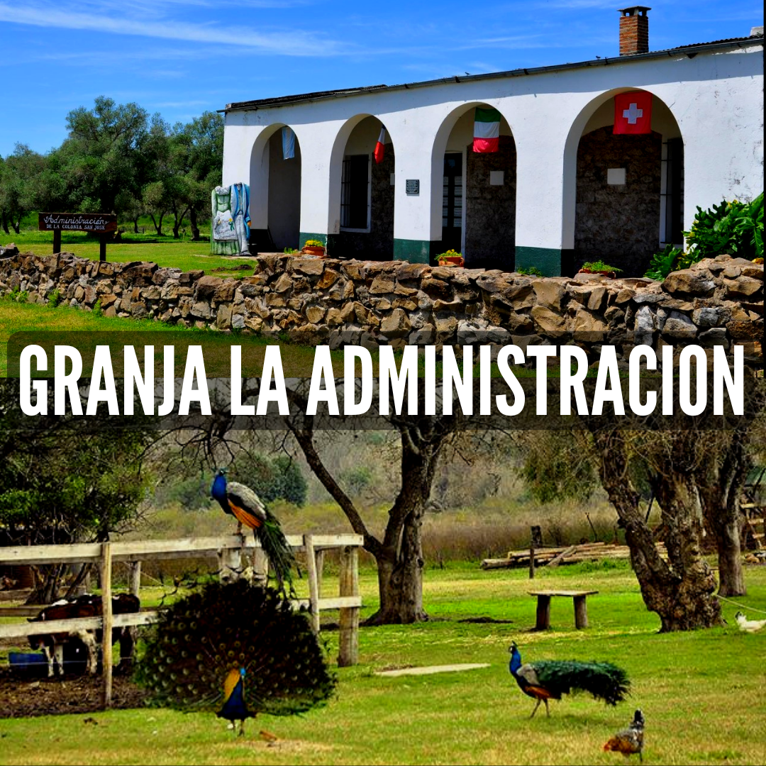 Vieja administración de Colon
