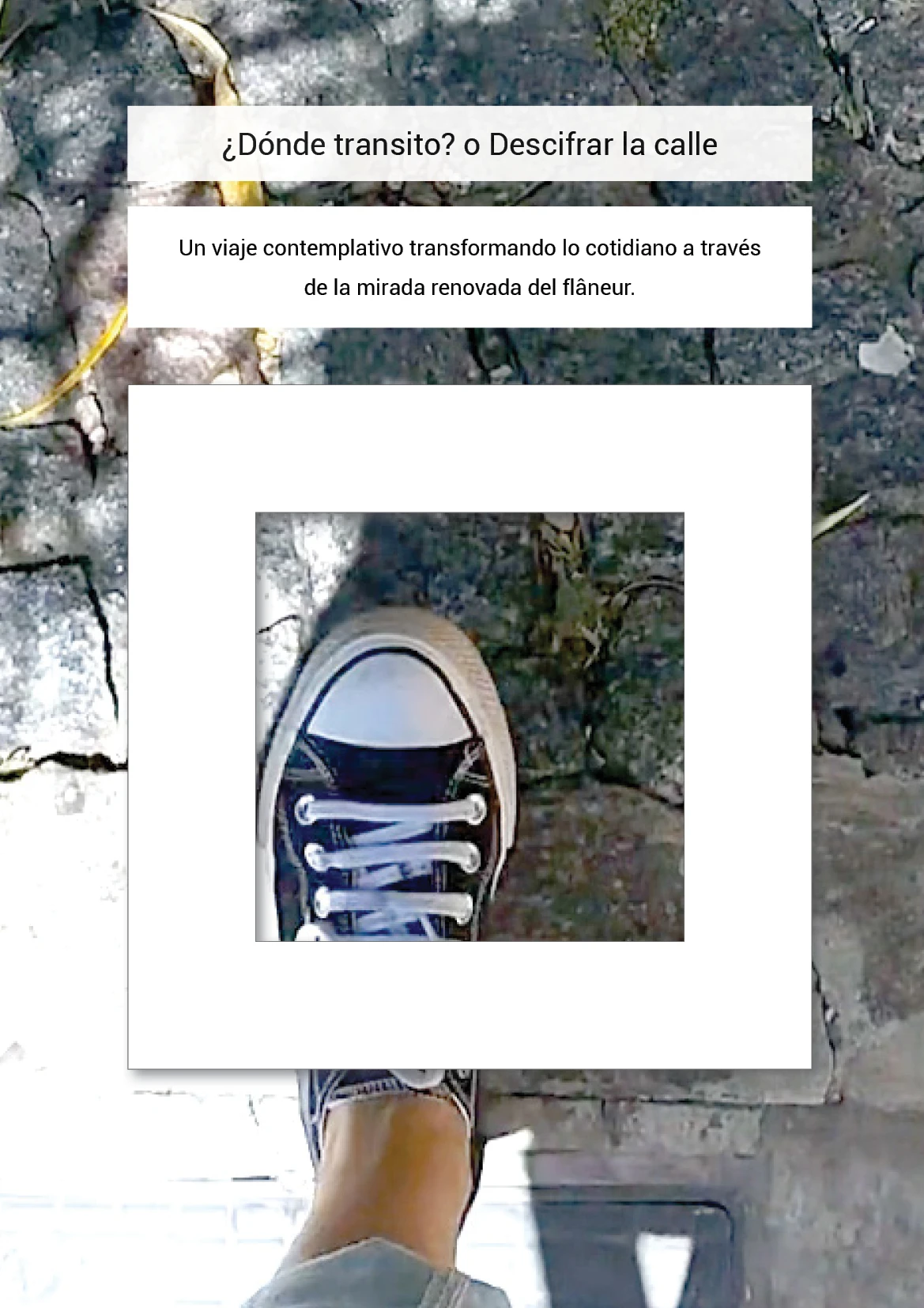 202502-Dondetransito.webp