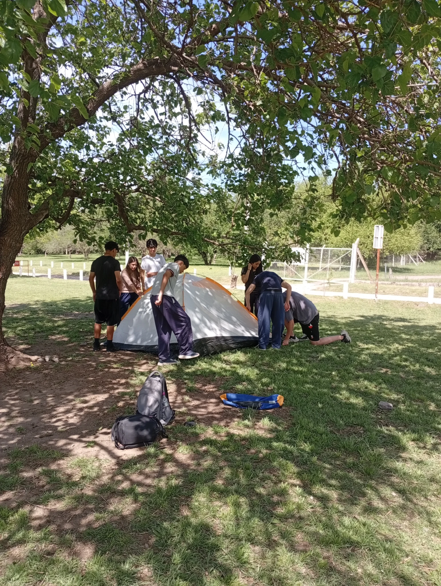 IMG-20261020-WA0114.webp