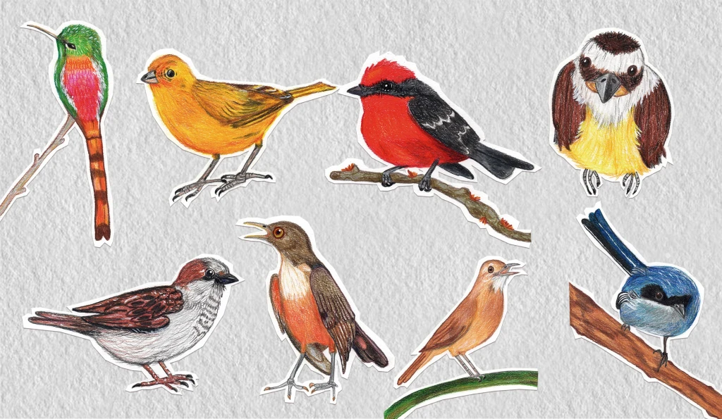 Pájaros en lápiz -Faby Pavela