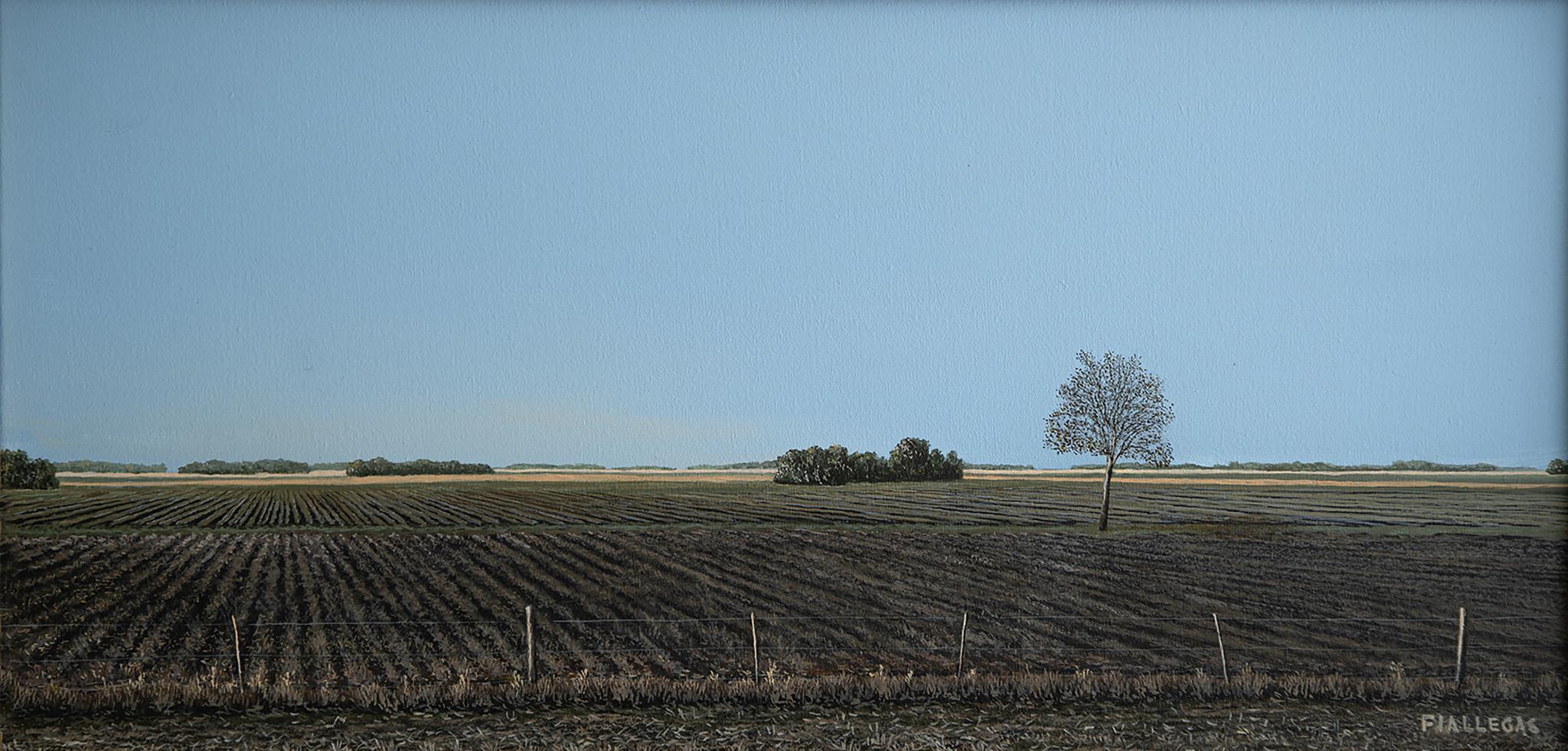 2019  30x60cm