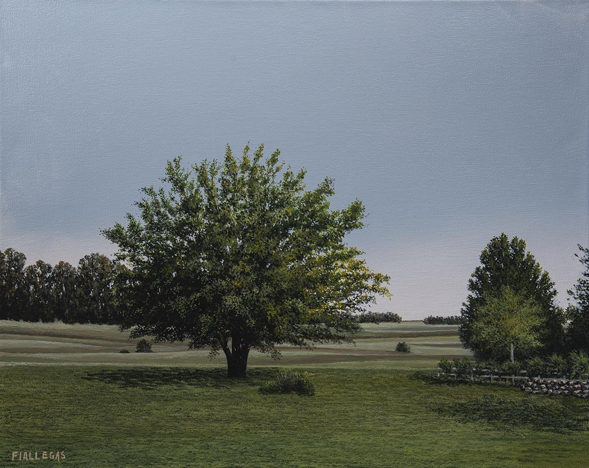 2021  40x50cm