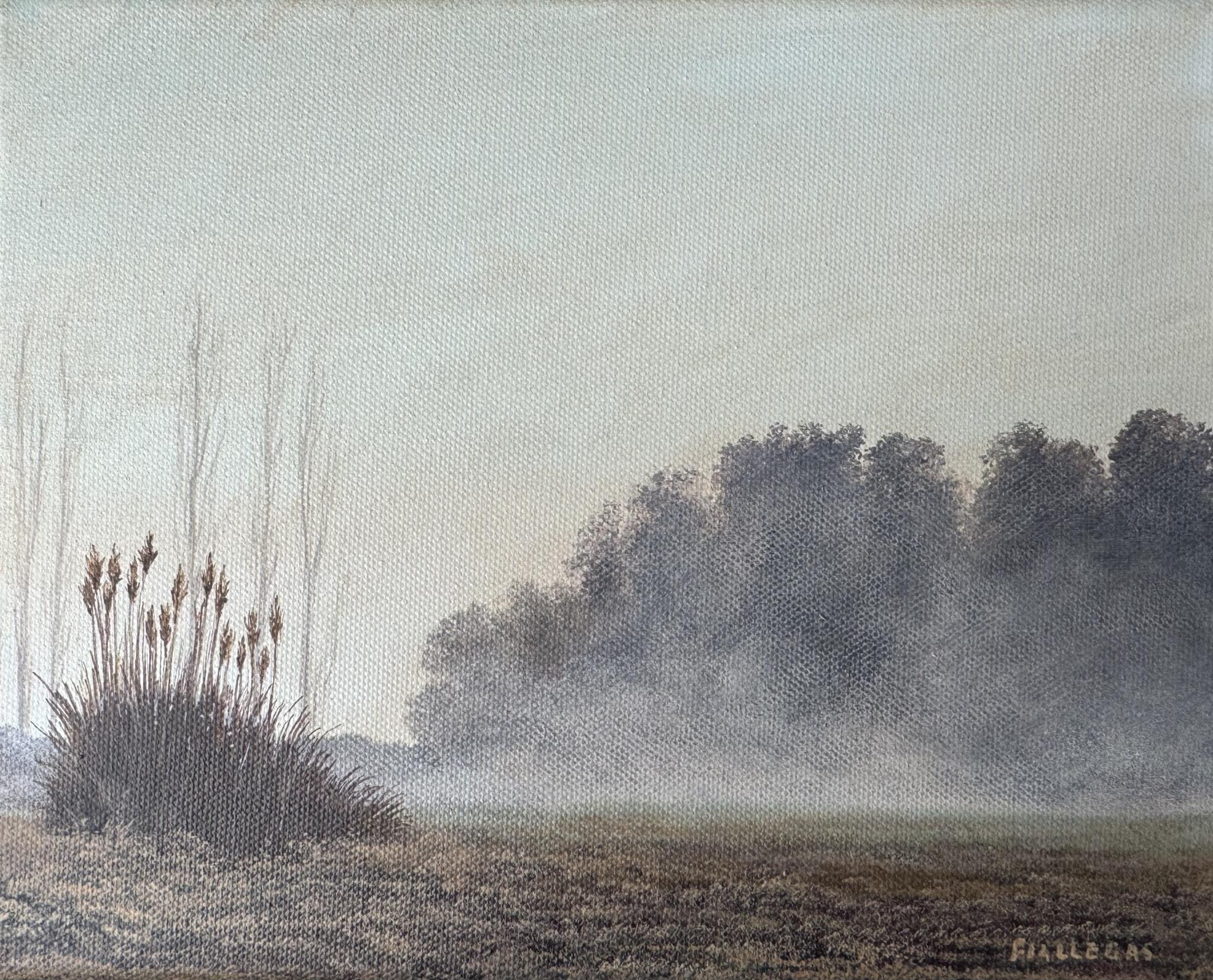 20x25cm