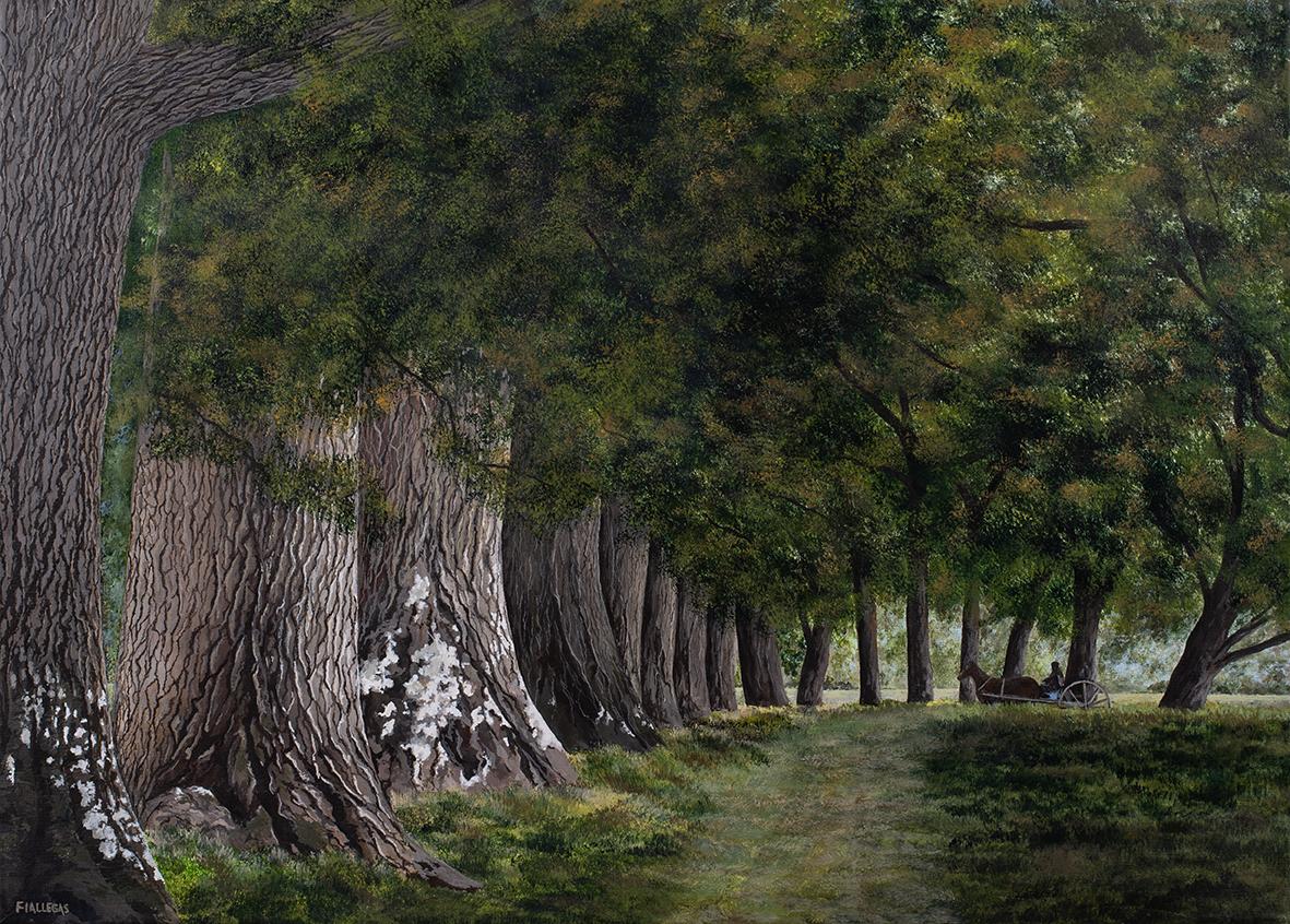 50x70
