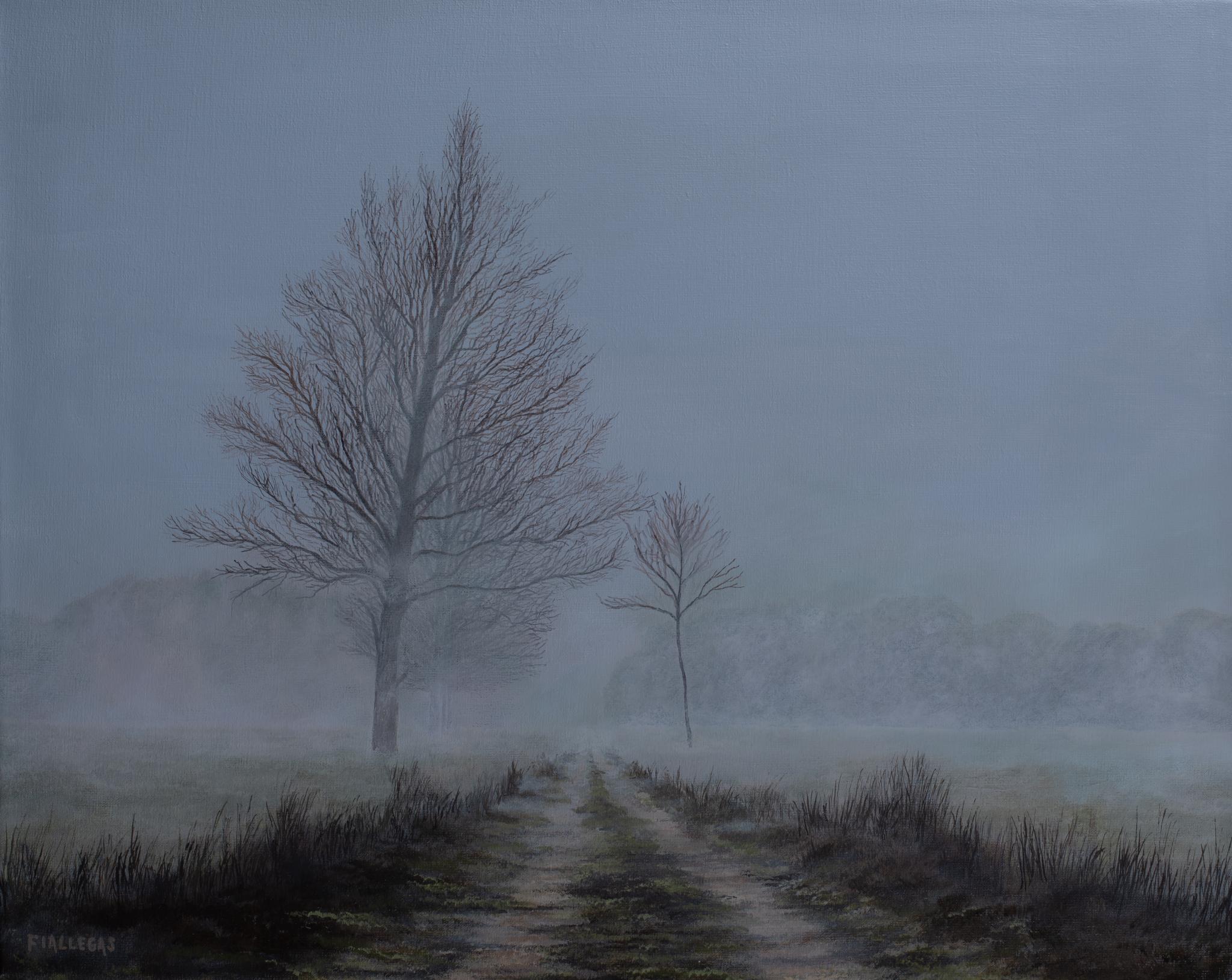 40x50