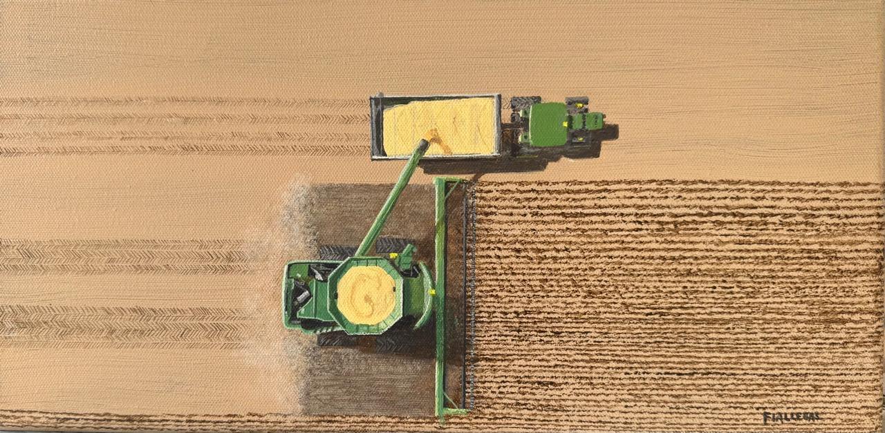 20,5x40,5