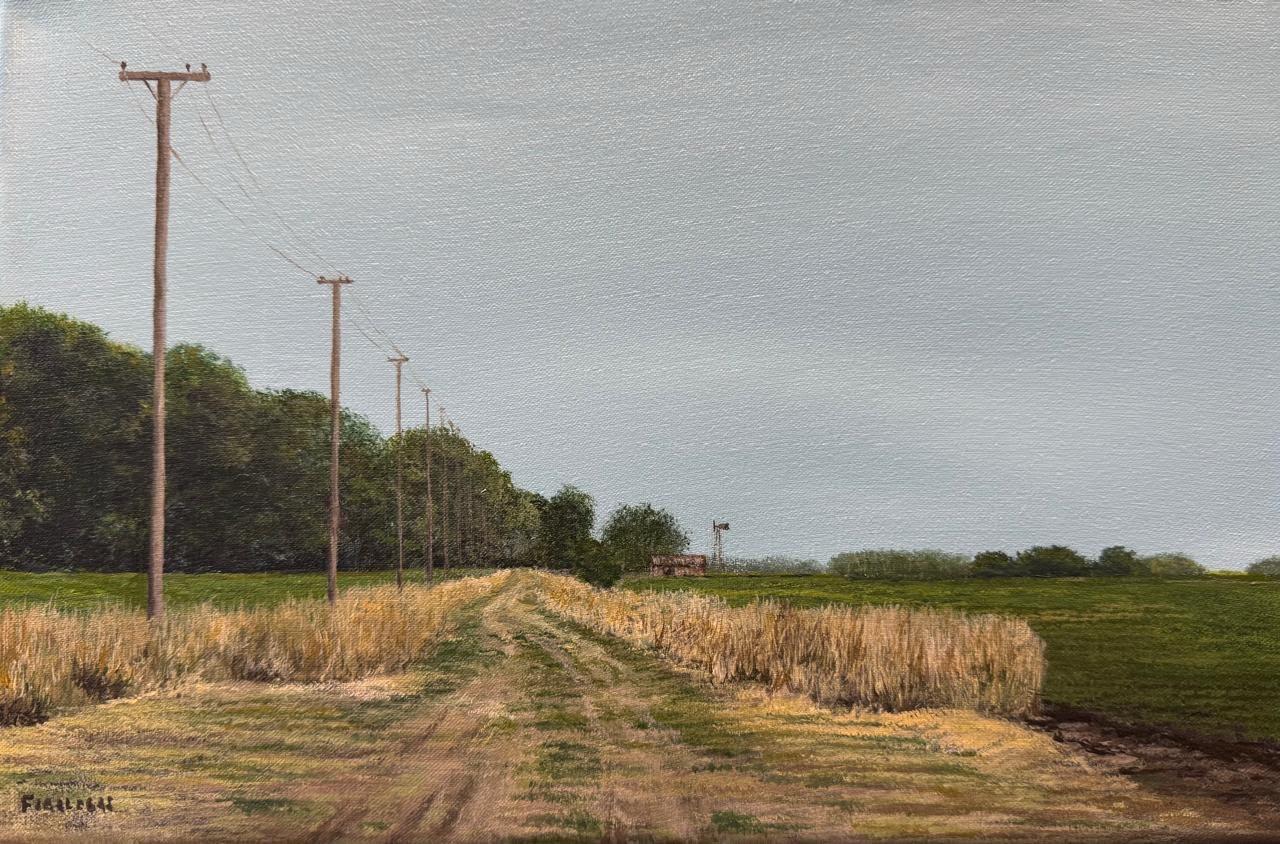 20x30