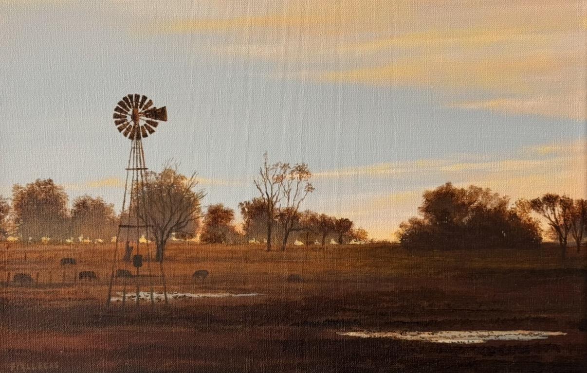 20x30