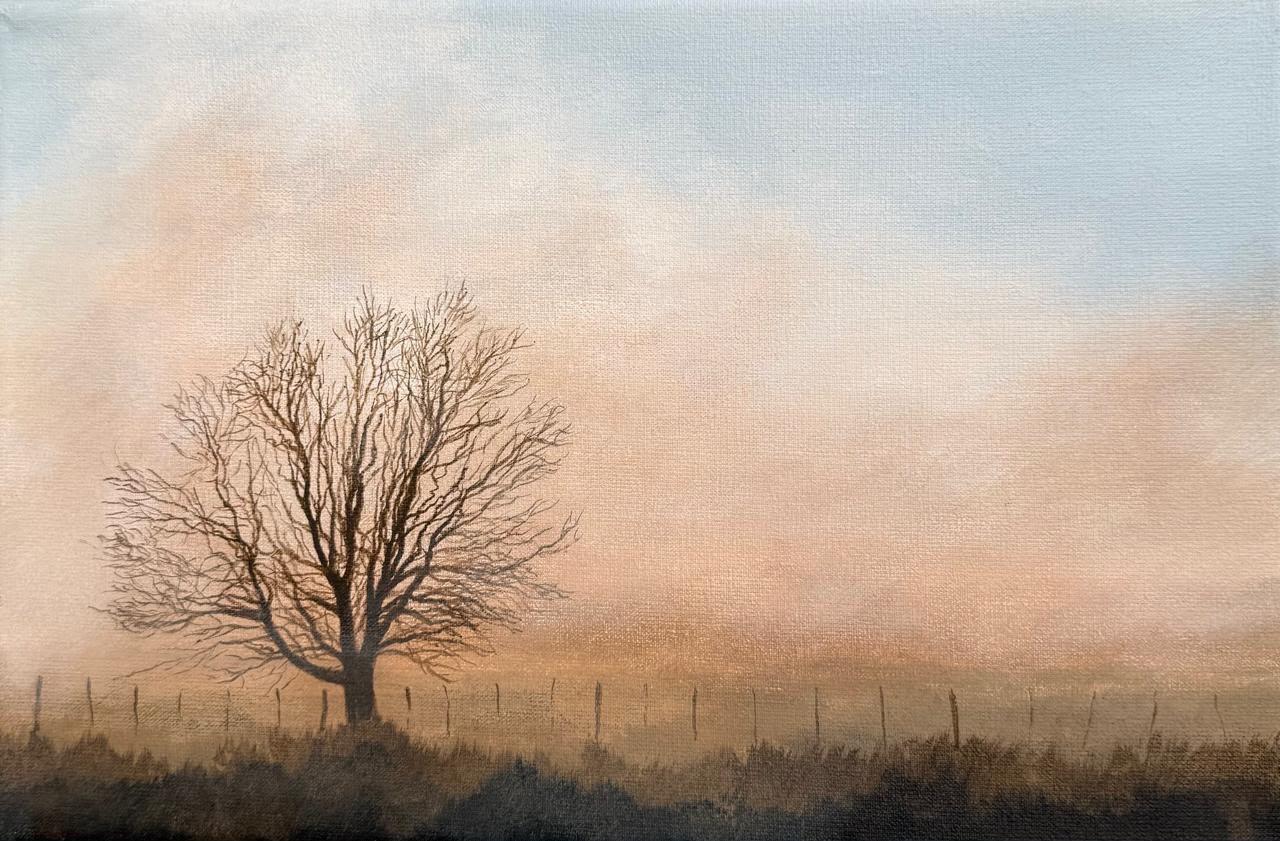 20x30