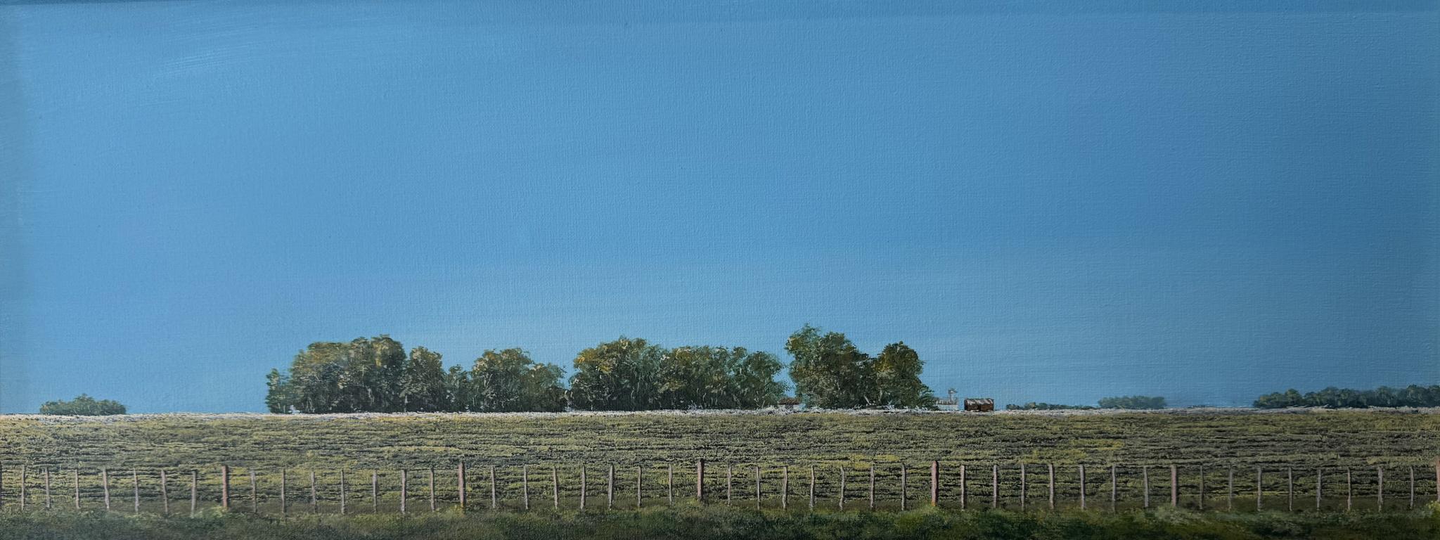 20x50