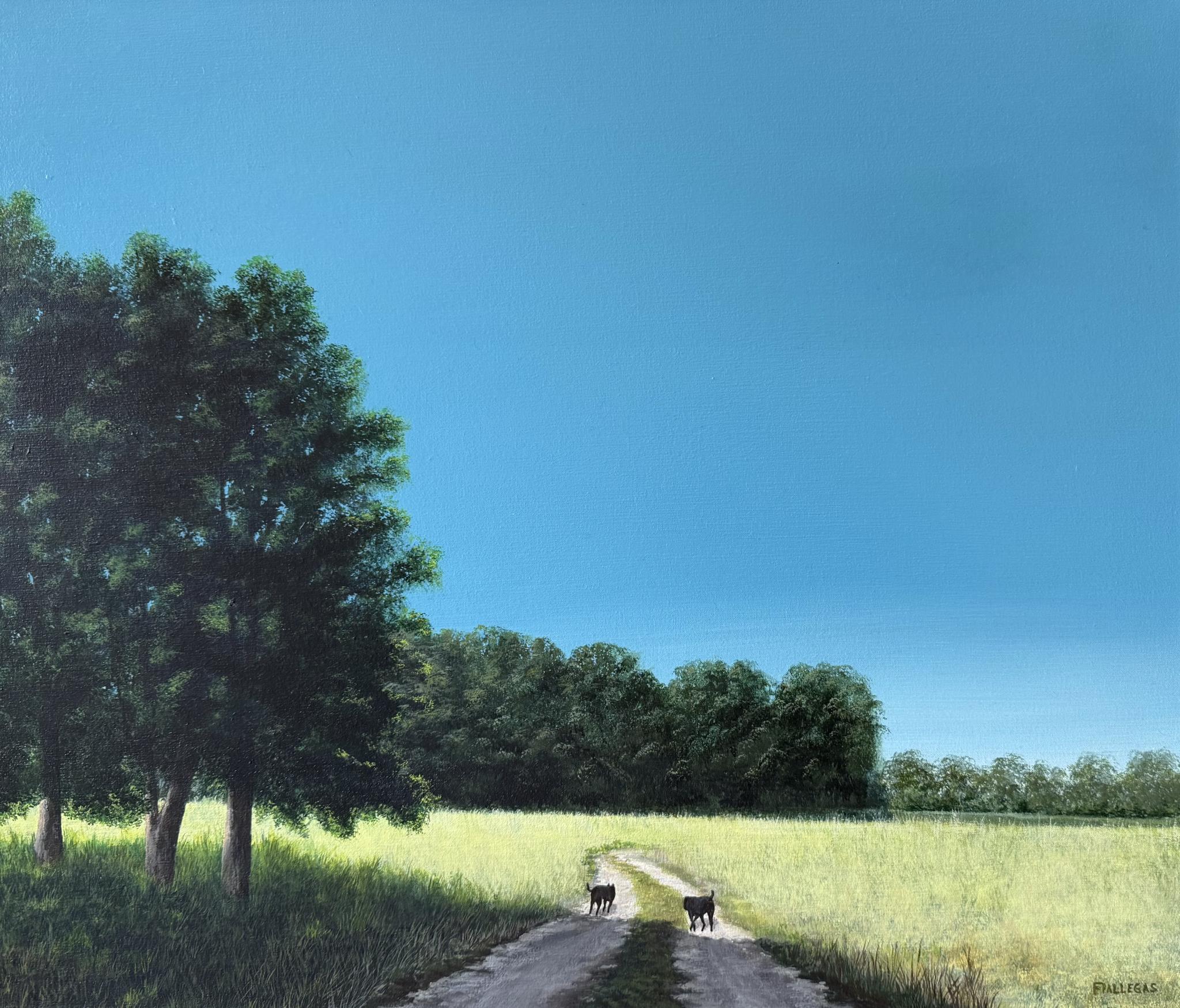 50x60