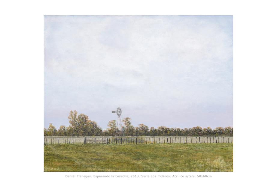 2013  50x60cm