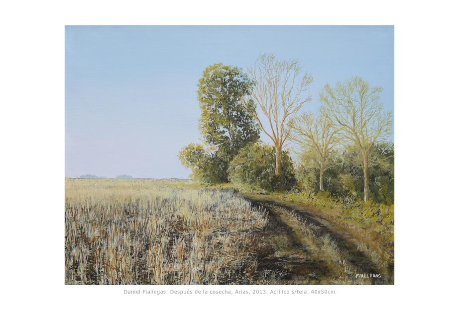 2013  40x50cm
