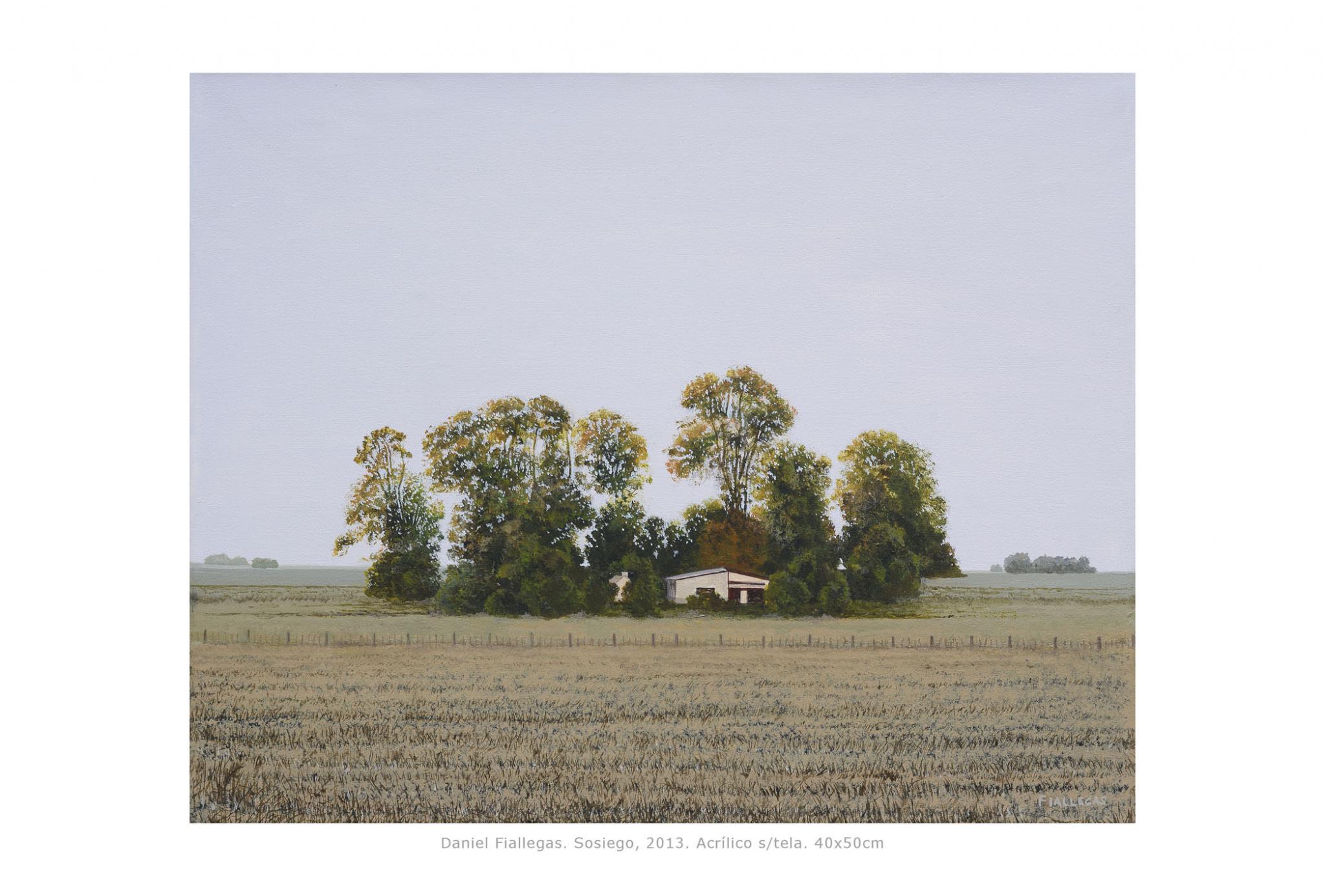 2013  40x50cm