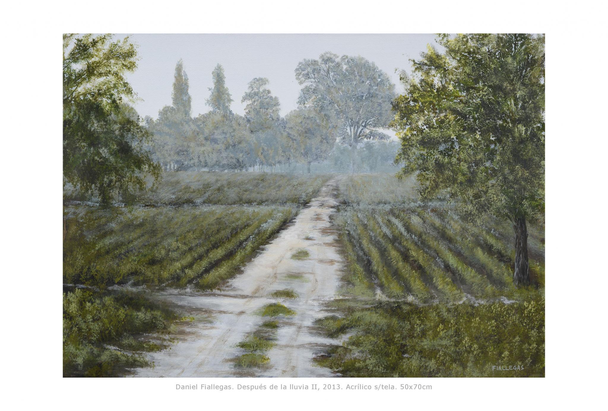 2013  50x70cm