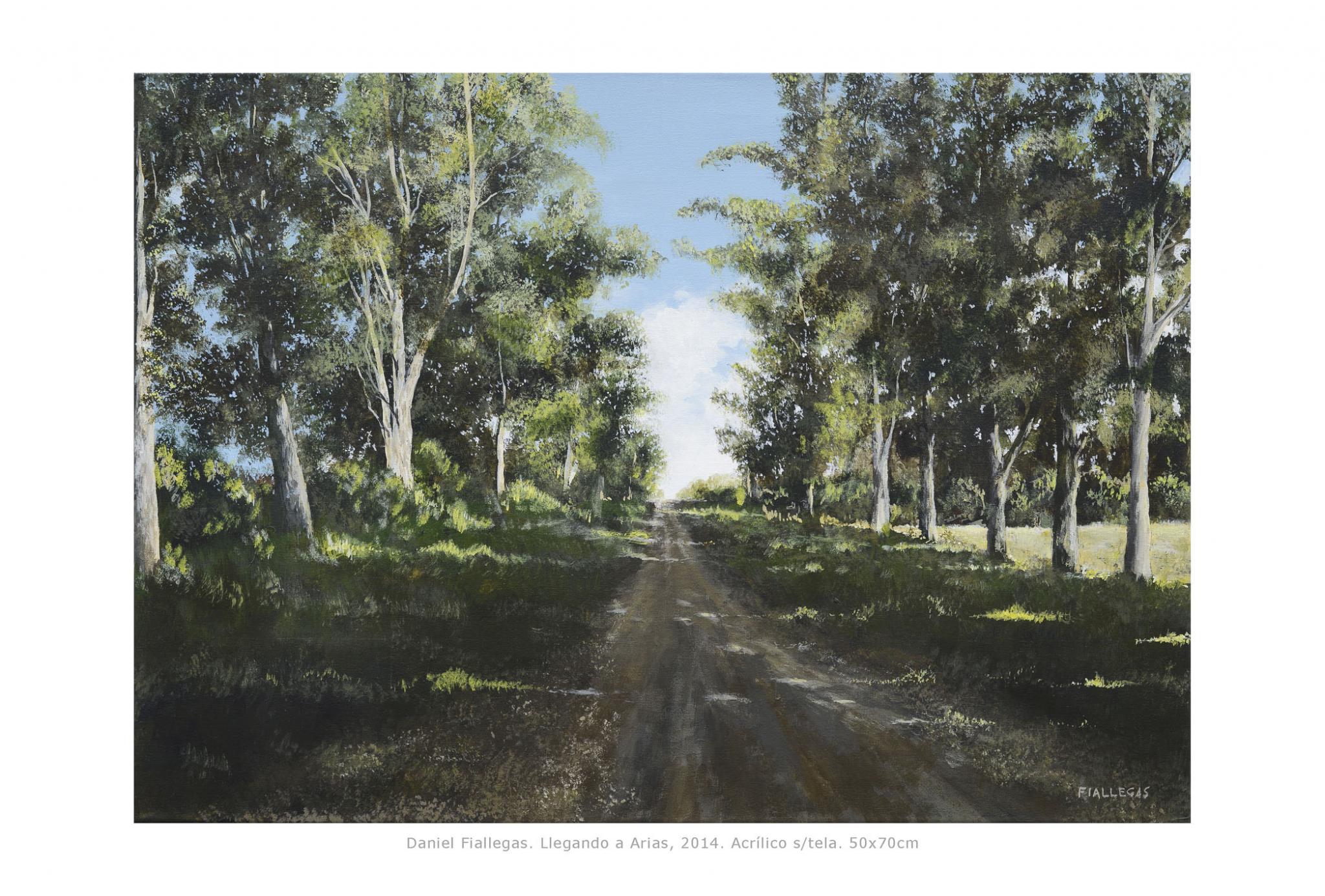2014  50x70cm