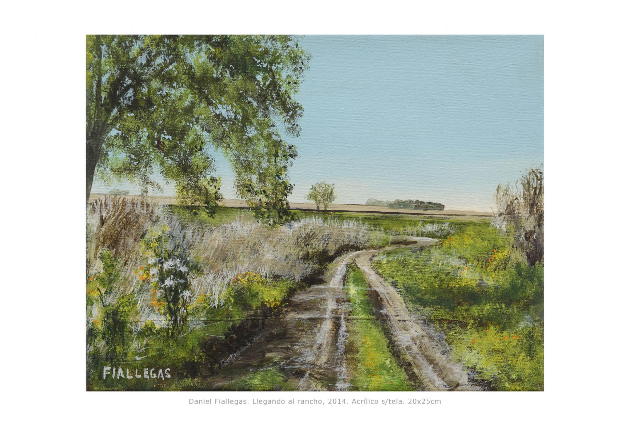 2014  20x25cm