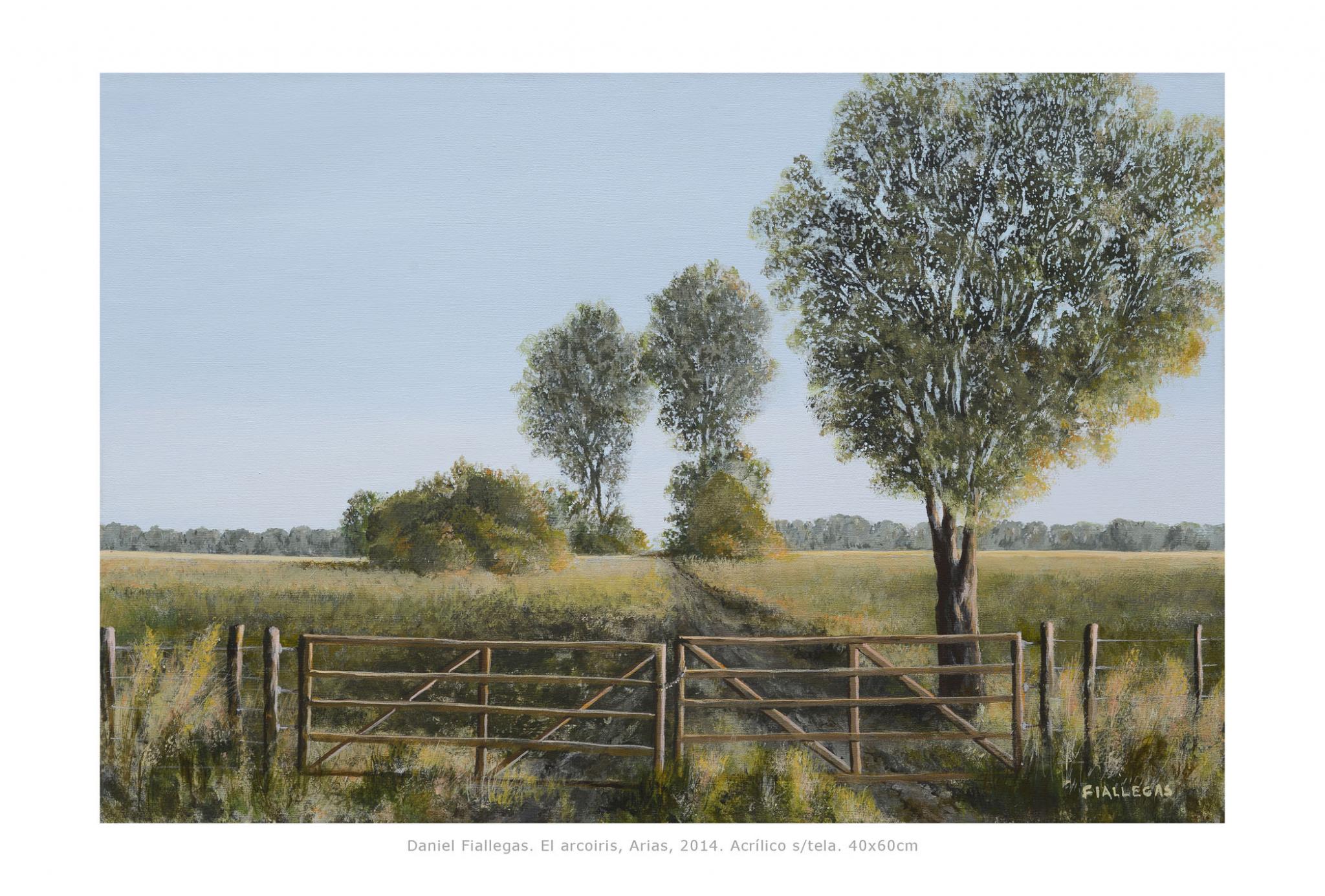 2014  40x60cm