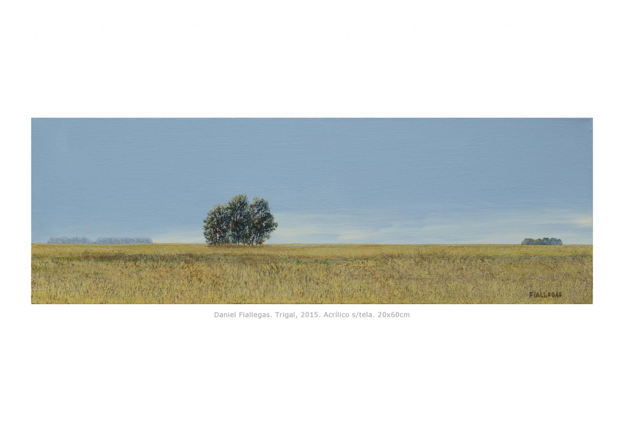 2015  20x60cm