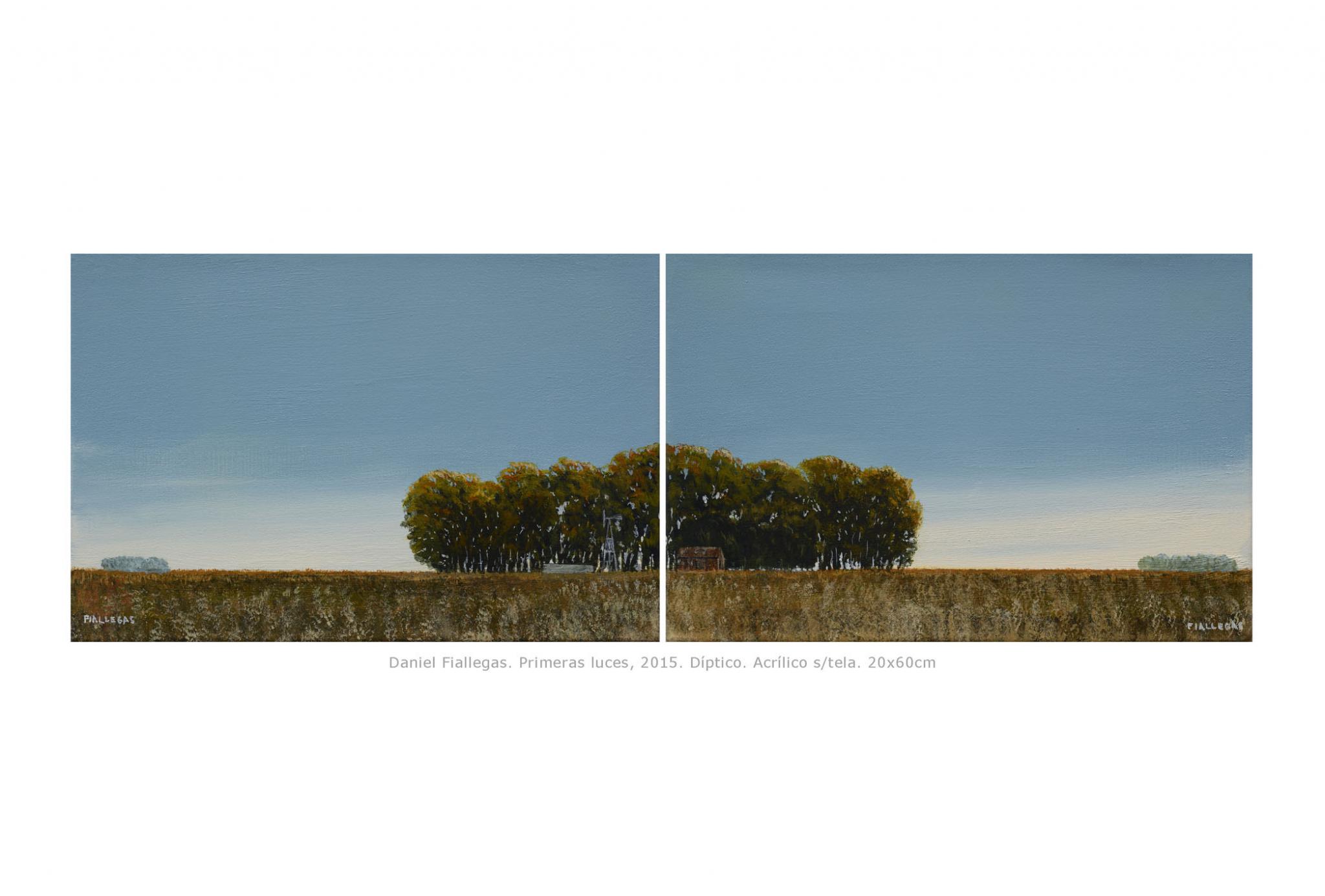 2015  20x60cm