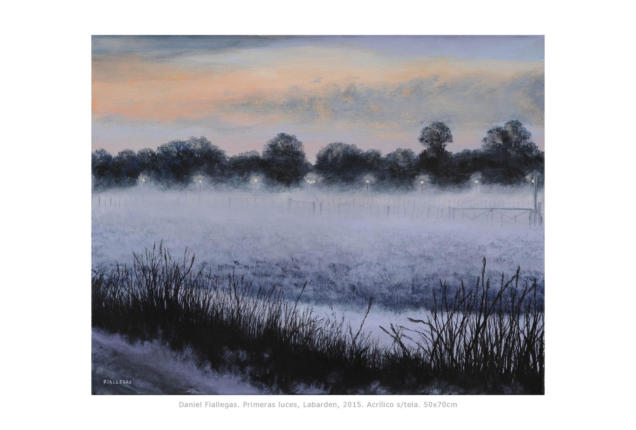 2015  40x50cm