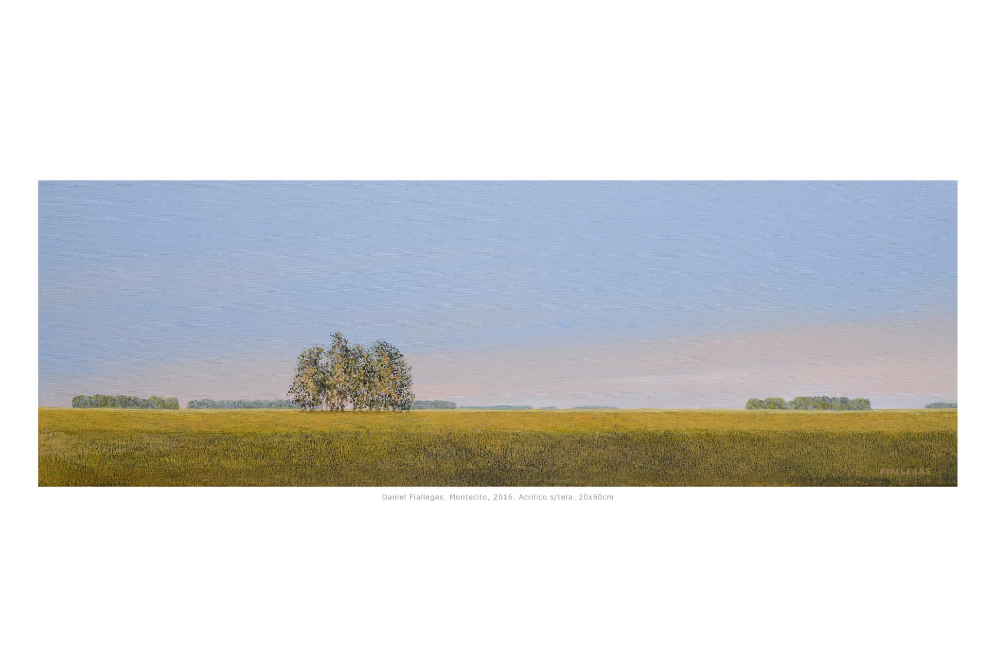 2016  20x60cm