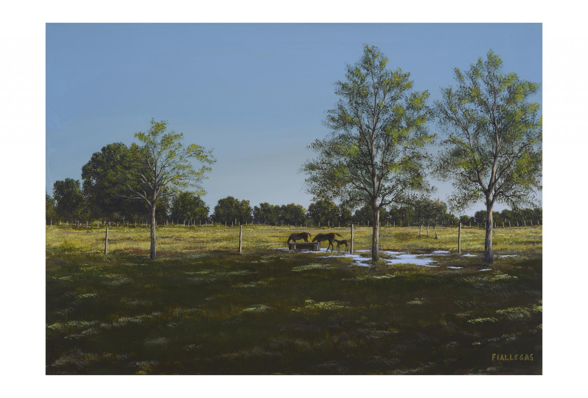 2018  50x70cm