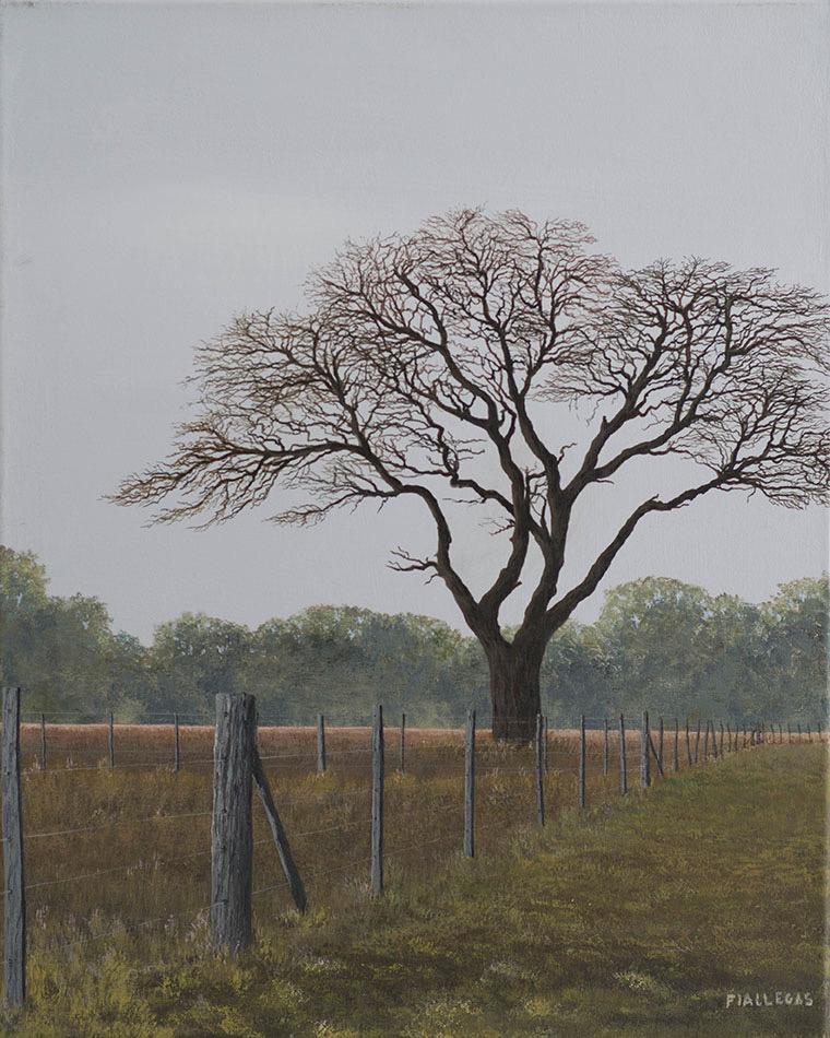 2018  50x40cm