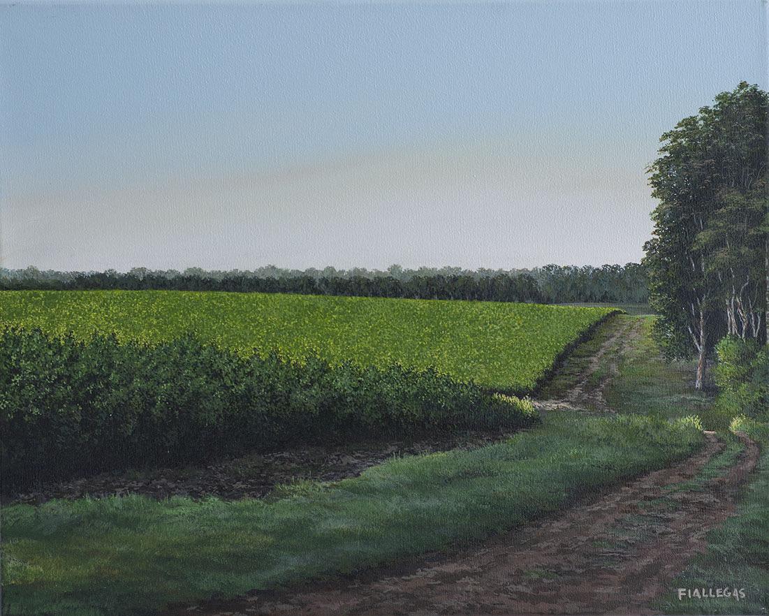 2019  40x50cm