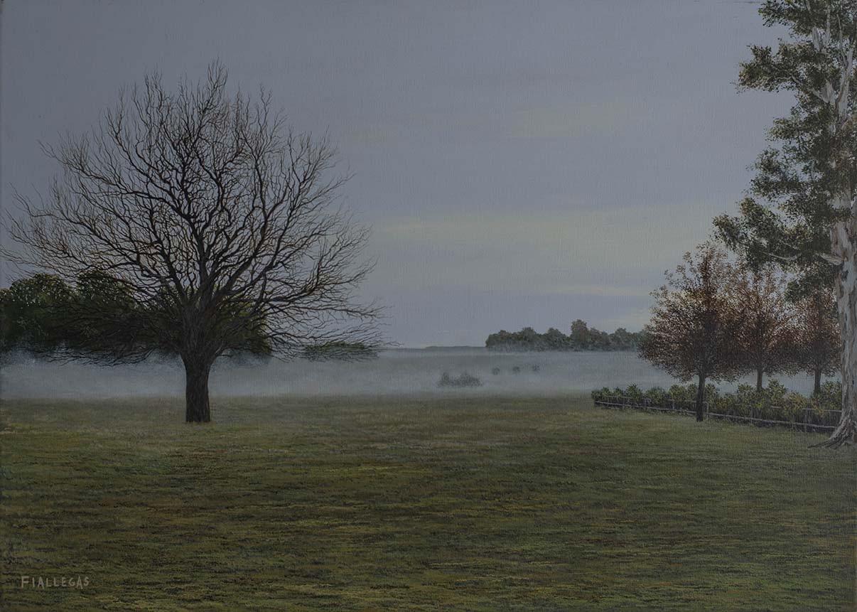 2019  50x70cm
