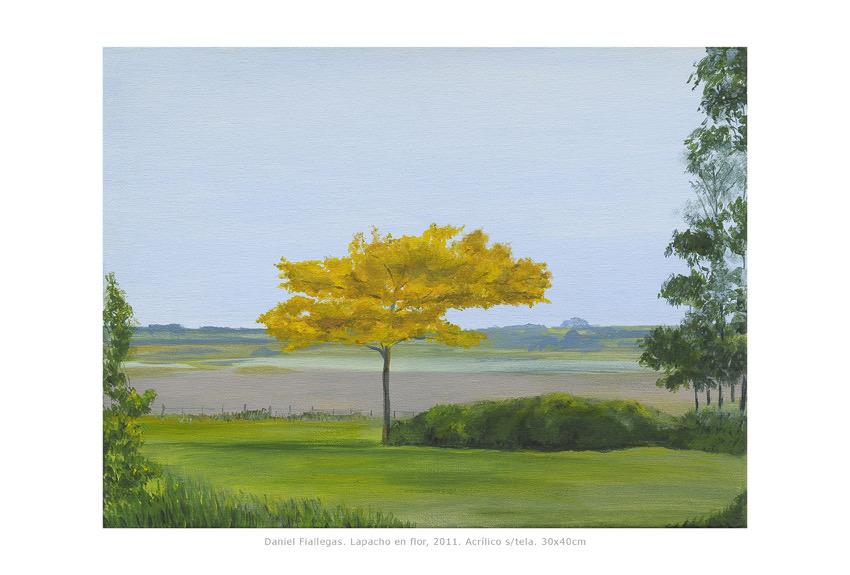 2011  30x40cm