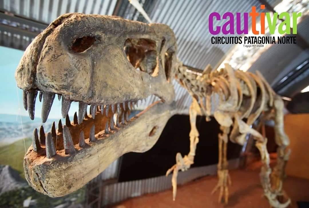 El Auge del Turismo Científico en Argentina y el mundo