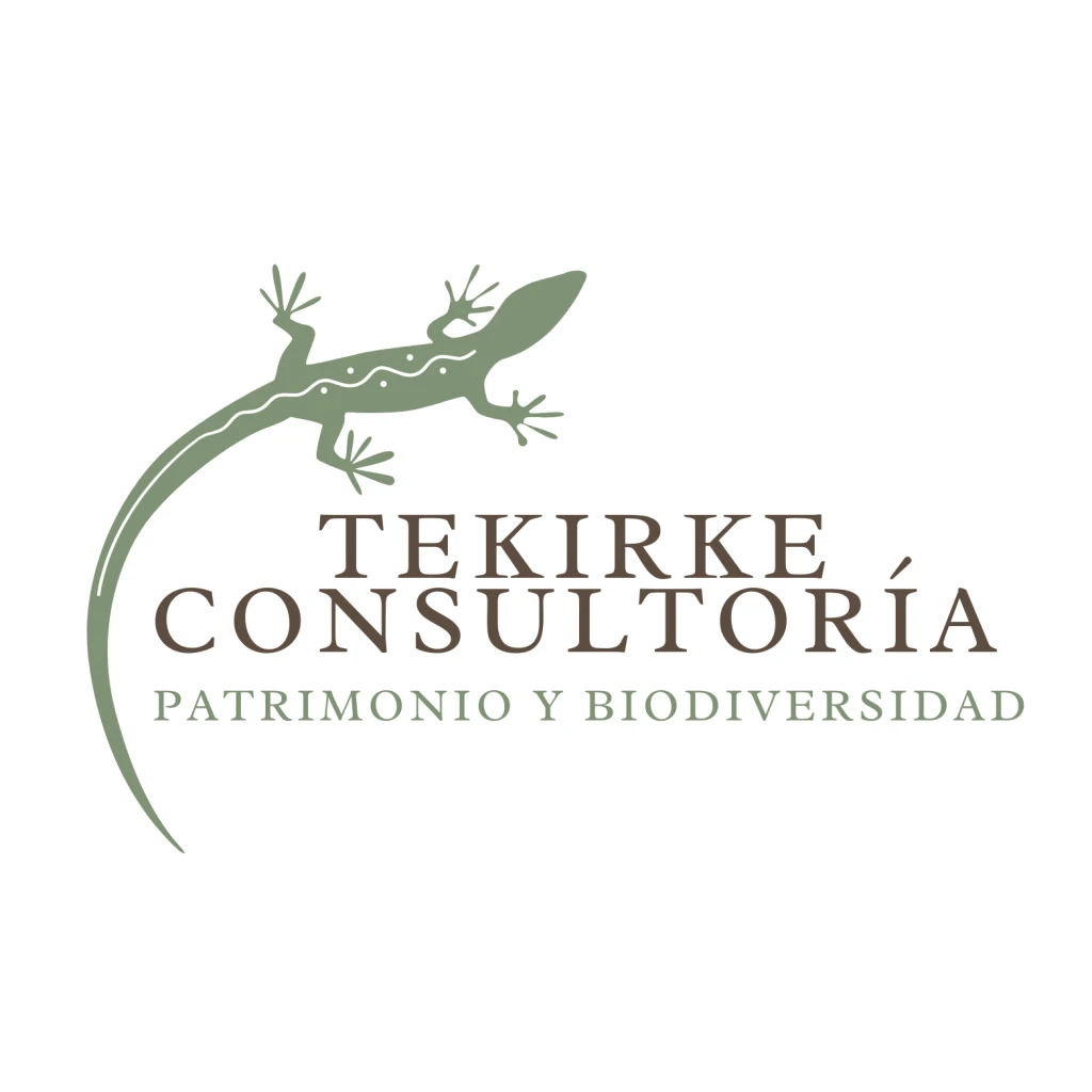 Tekirke Consultoría