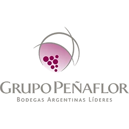 GPFSUBIR.webp