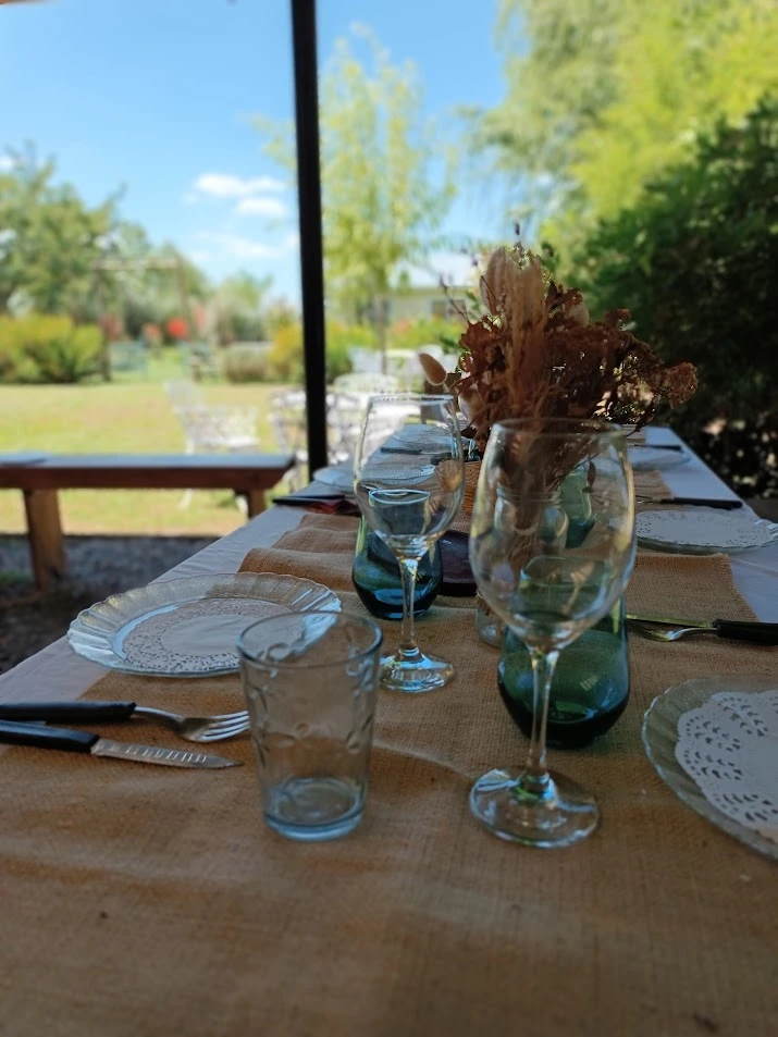 IMG20230206121342-(4438).webp