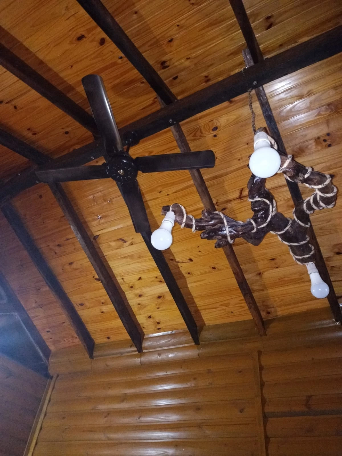 IMG-20221207-WA0049.webp